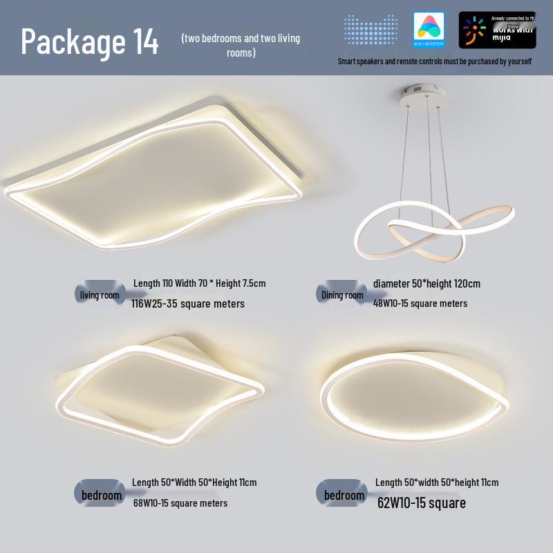 Modern Minimalist Ceiling Light Package with Smart Home Integration for Whole House
