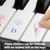 Removable Piano Key Decal Musical Supplies Keyboard Note Sticker Piano Training Stickers