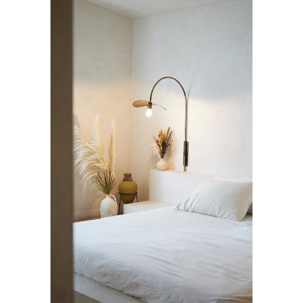 Große importierte Pampas mit 2 Zweigen und fusselfreiem, flauschigem Haar