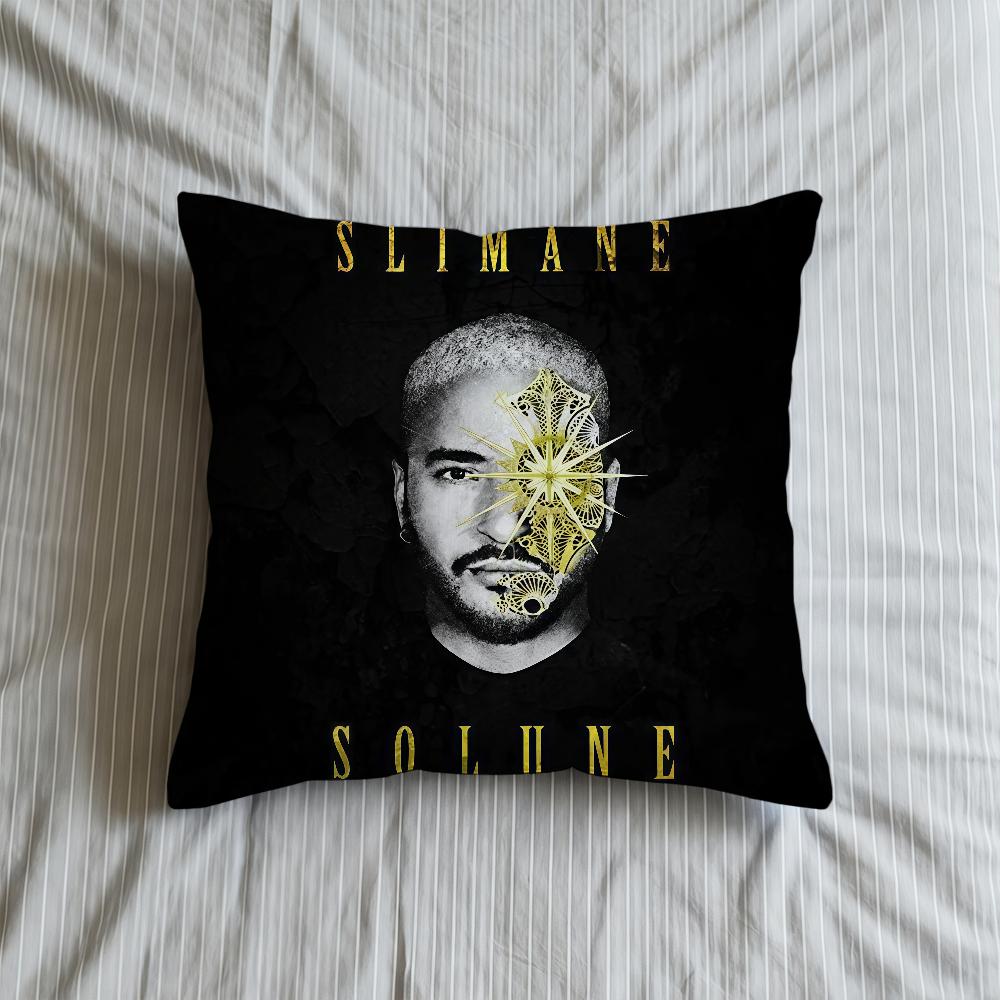 Cushion Singer Cover Soft Case Sofa S-SlimaneS-ES Living Room Home French Comfortable Office Decor Protective Pillow