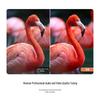 Hisense X8 32-inch 4K Smart Companion Display CN plug (adapter included)