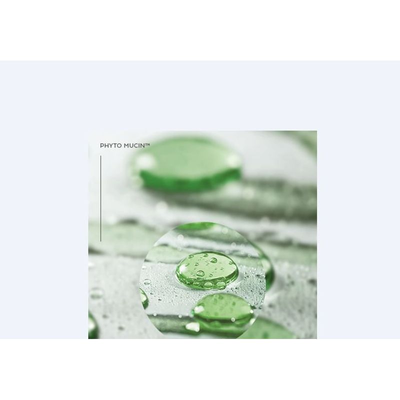 MISSHA Layering Fit Pine Phyto Mucin Serum Cushion - 2 Colors