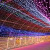 Outdoor Festival String Lights
