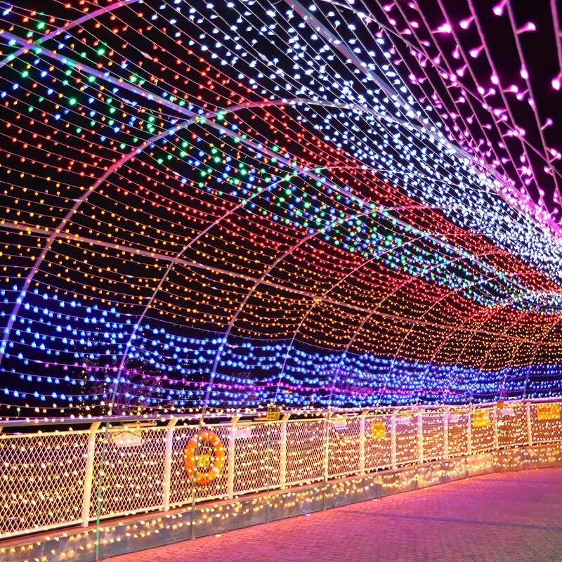 Outdoor Festival String Lights