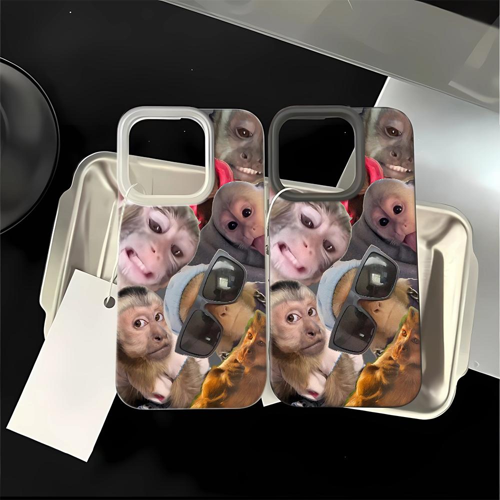 Monkeys Are Funny Phone Case For IPhone 17 16 15 14 Plus 13 12 11 Pro MAX 17 Air Screen Protector Casing Shockproof Phone Cover