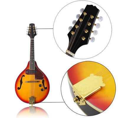 Justerbar 8-strängad elektrisk A Style Mandolin Rosenträ Gripbräda stränginstrument med kabel