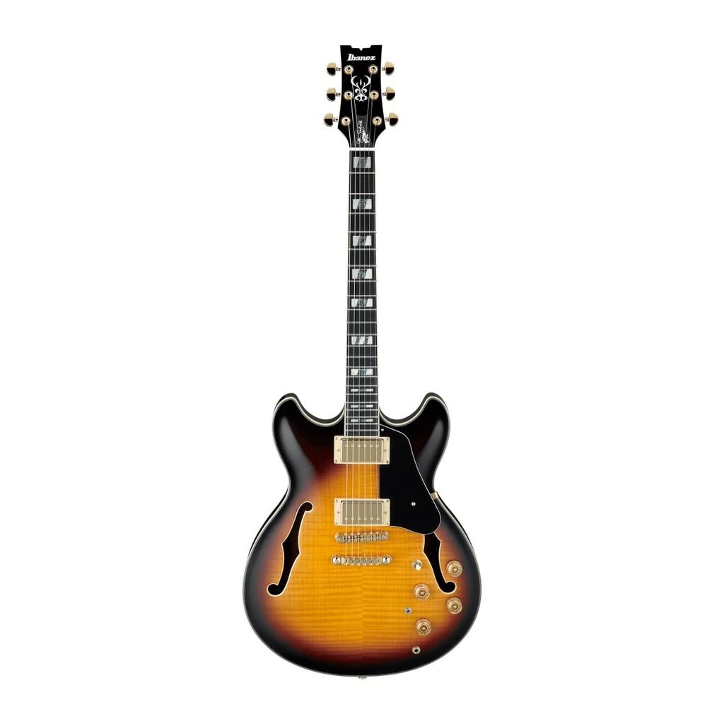 IBANEZ /John Scofield Signature Model JSM10-VYS Vintage Yellow Sunburst (VYS)