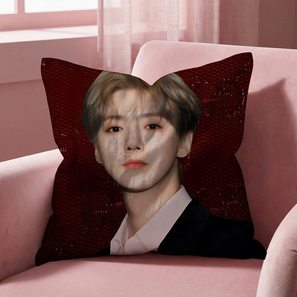 

LuHan Cushion Cover Multi-Scene Pillow Cover for Home & Car - Reversible, Soft & Durable for Daily Use 30cmx30cm