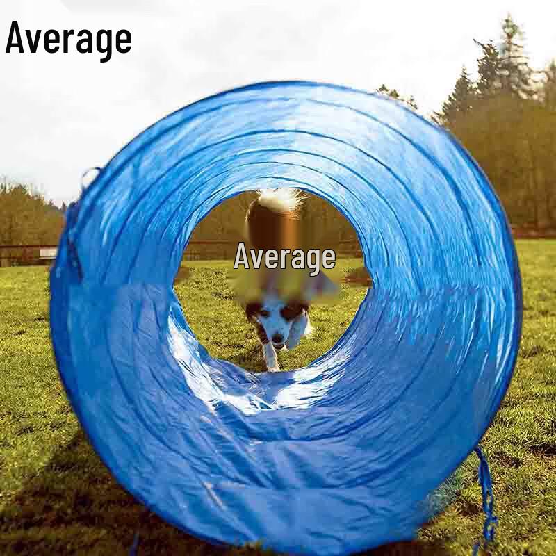 Dog Agility Training Tunnel