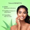 KHADI NATURAL Herbal Aloe Vera Gel 500 Ml With Dispenser Lightweight Non Sticky Daily Face And Body Hydrating Gel
