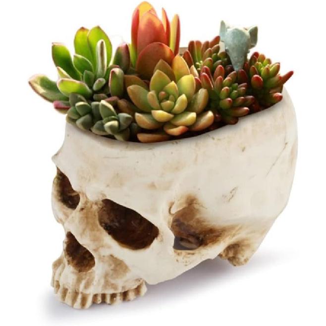 Diyeeni Skull Flower Pot Fruit Bowl, Resin Skull Head Model Decoration, Halloween Candy Bowl Skull, Skull Punch Bowl