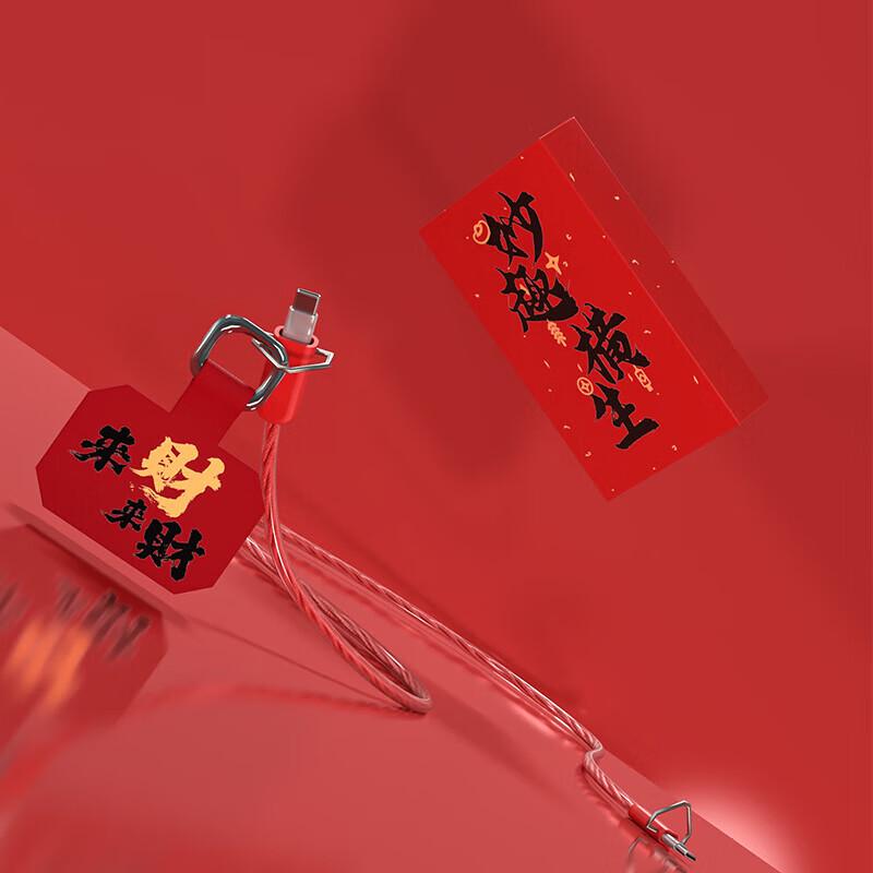 FeiWu Dual C 60W Fast Charge Data Cable