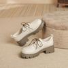 Pantofi de damă cu platformă groasă Pantofi ocazional, confort cu șireturi, talpă cu urechi, pompe cu vârf rotund, pantofi de mers antiderapante, pentru petrecere, birou, pantofi îmbrăcați pentru femei