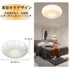 Depuley Ceiling Light, Dimmable and Color-Adjustable, 8-Tatami Chandelier with Remote Control, Starry Sky Design, Living Room Lighting, Easy