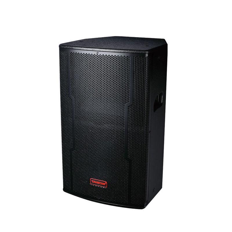 TAKSTAR ELV-121 12-inch Full-Range Conference Speaker CN plug (adapter included)