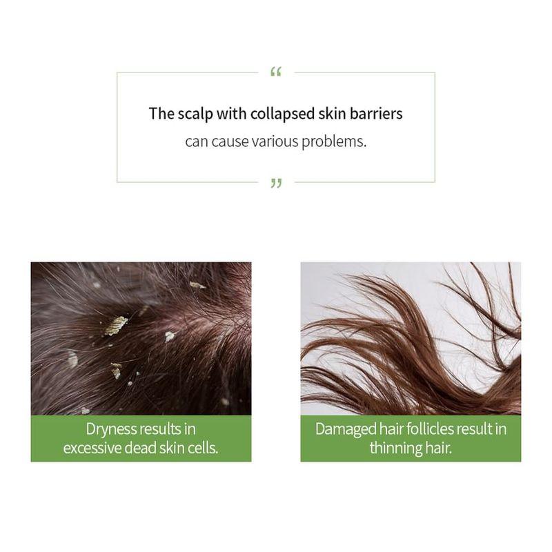 MASIL - 5 Probiotics Apple Vinegar Shampoo Stick Pouch