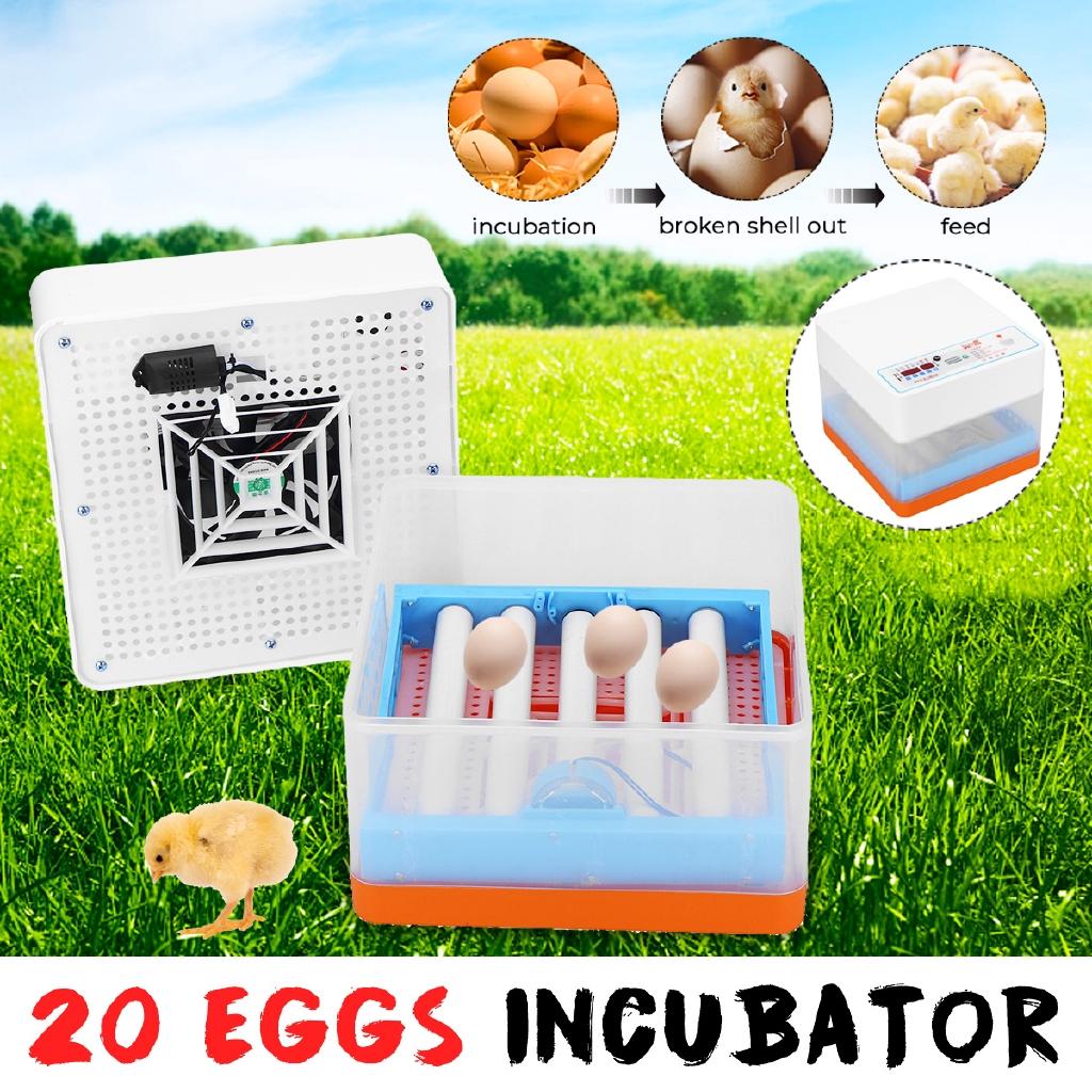 12V 20 Eggs Intelligent Full-automatic Egg Incubator Hatcher Electronic Hatching Machine For Chicken Duck Transparent