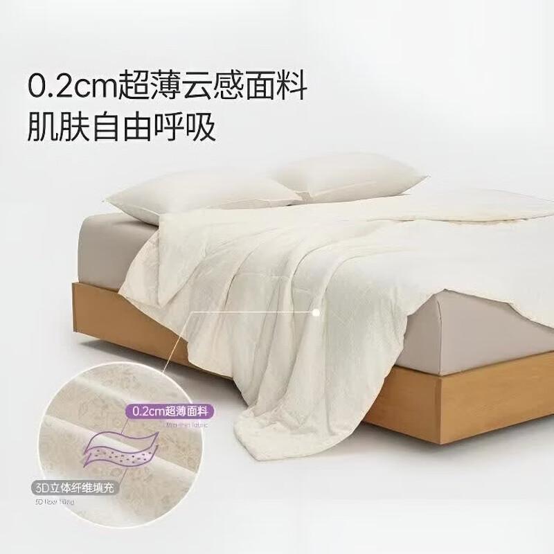Aimei Home Magnolia Soft Summer Quilt