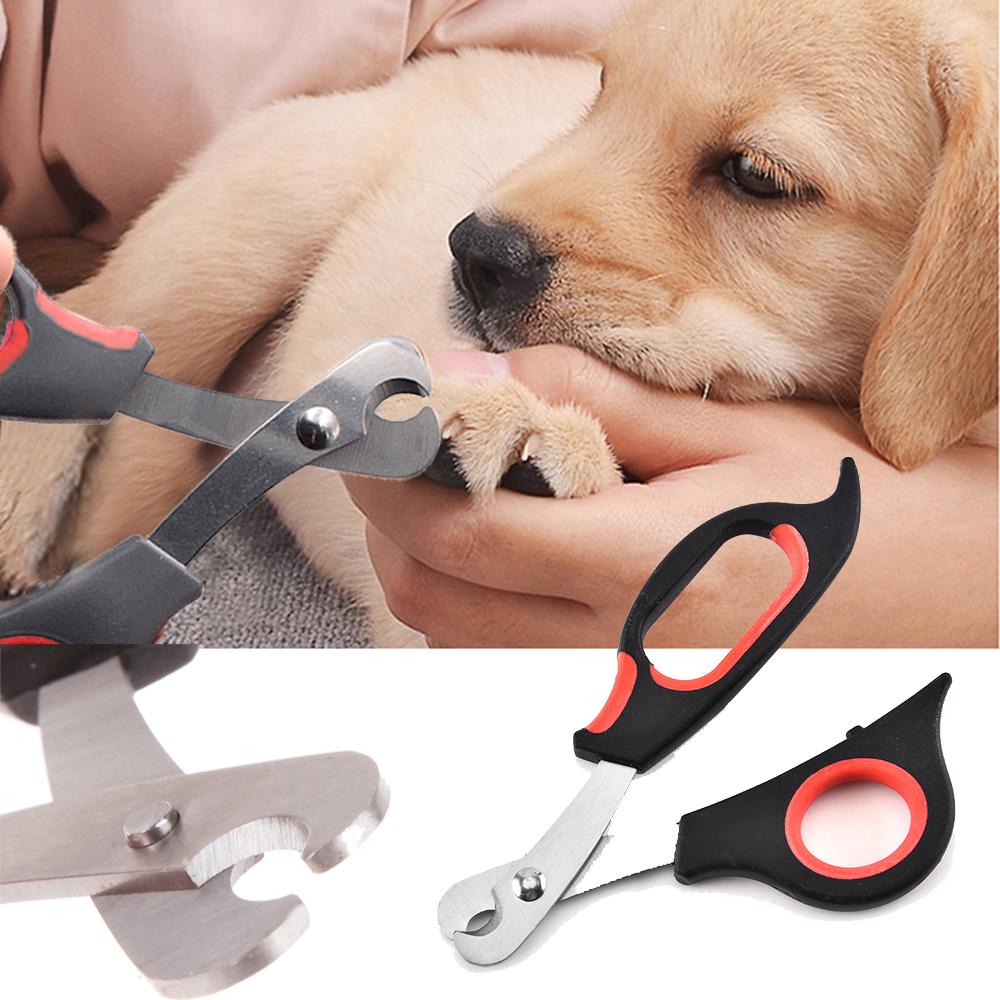 labrador nail clippers