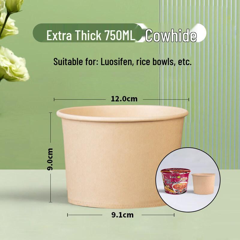 ZISIZ Disposable Takeaway Paper Bowls