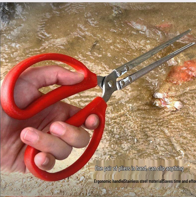 Tide-Chasing Beach Tool Set: Kids' Clam Diggers & Crab Catching Gear