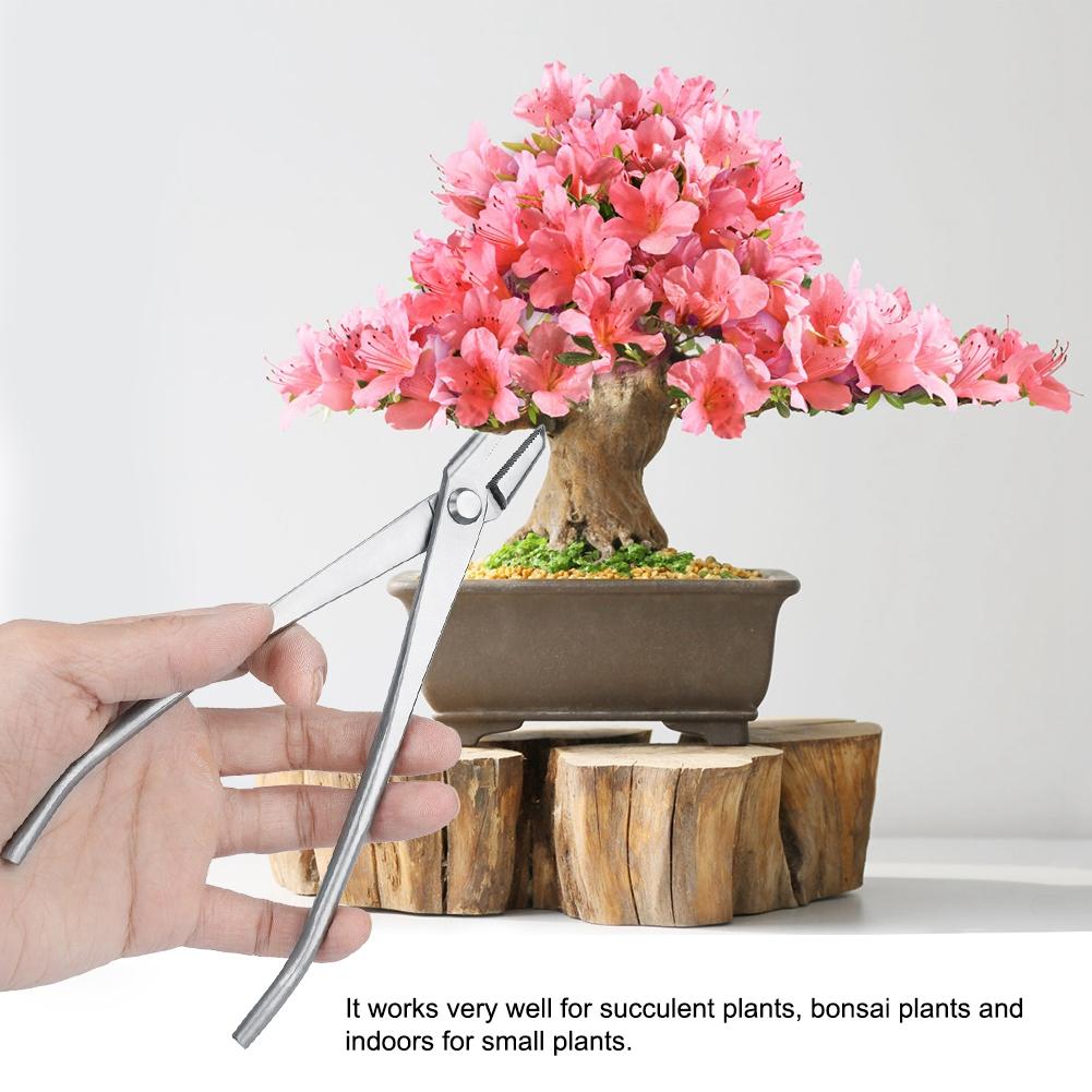 Garden Care Stainless Steel Knob Cutter Bonsai Modeling Tools