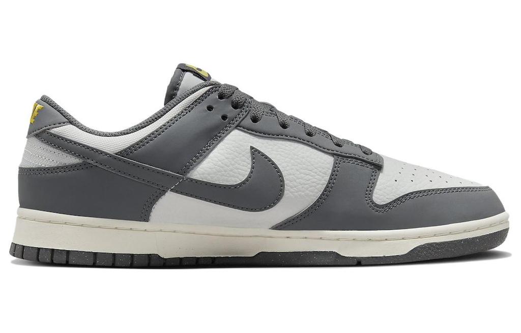 Nike Dunk Low Next Nature Cinza Ferro FZ4621-001