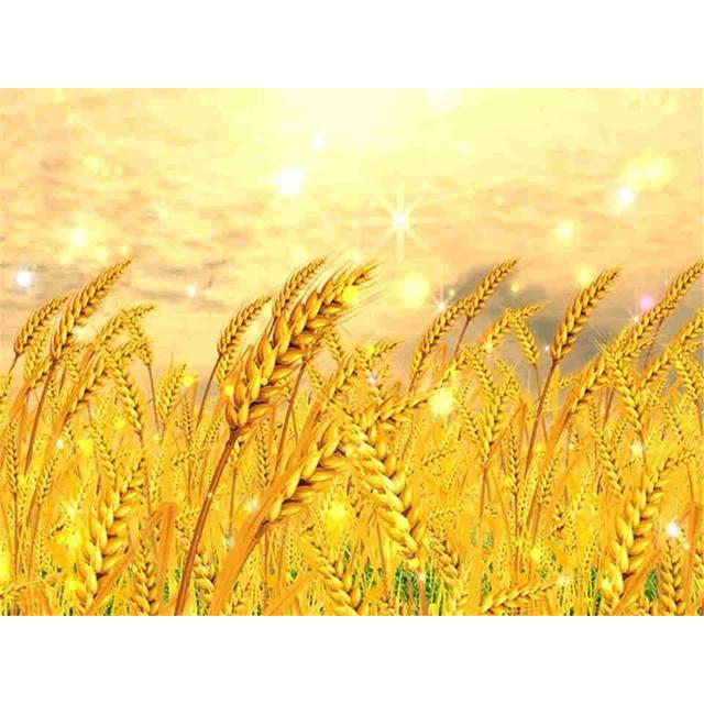 5D sady pro malování s diamanty Obraz krajiny Umělecký obraz Úplné diamantové vyšívání Mozaika drahokamu Dárkový křížový steh Domácí dekorace