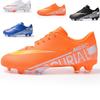 Low-top Football Shoes, Youth Sports Shoes Ag Long Nails Tf Broken Nails Artificial Flat, Primary and Secondary School Students Competition Training