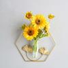 Flower Storage Rack Iron Ginkgo Wall Hanging Vase Test Tube Hanging Planter  Home/Office Decor