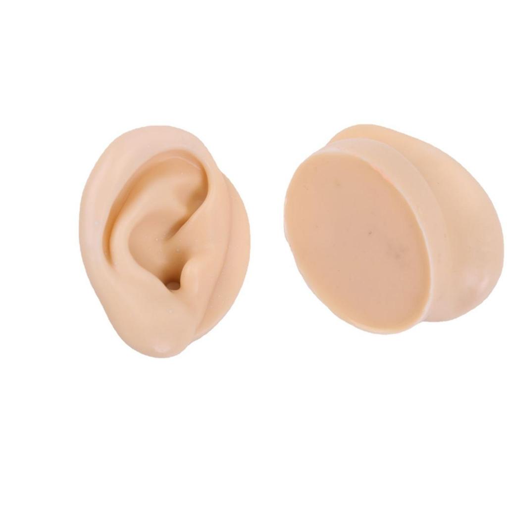 Silicone Ear Model for Training, Display & Ear Studs or Earphones