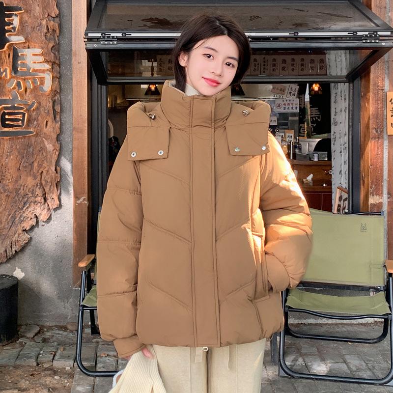 Down and Cotton Jacket Women's Winter 2025 New Loose and Versatile Korean Chic Niche Gentle Style Hooded Padded Jacket Jacket