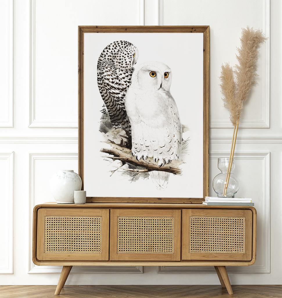 Plakat sowa sowy vintage