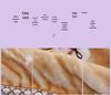 Cartoon Baby Double Layer Cloud Blanket for Newborns - Spring/Autumn Photography Blanket