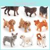 Kleines Shiba Inu Labrador Collie Bulldogge Chihuahua Hundemodell Spielzeug für Heimdekoration und Sammler