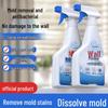 Mold Remover Spray for White Walls and Bathroom Surfaces