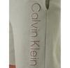 Шорты Calvin Klein LV04LF240G