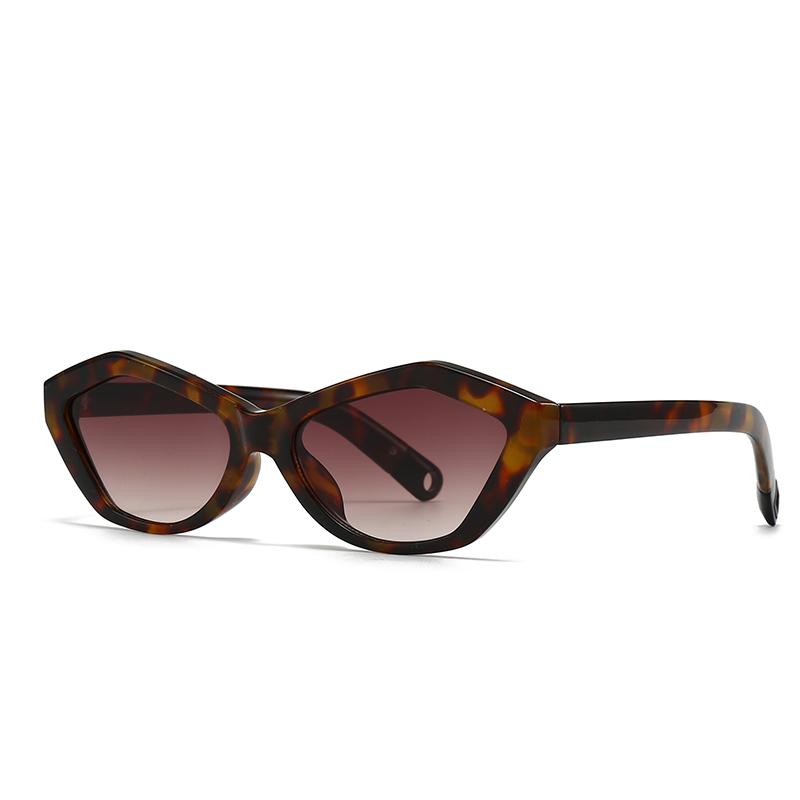 Cross-Border Specially Designed for Water Chestnut Cat-Eye Sunglasses Modern Retro Temples Decorative Sunglasses 2499