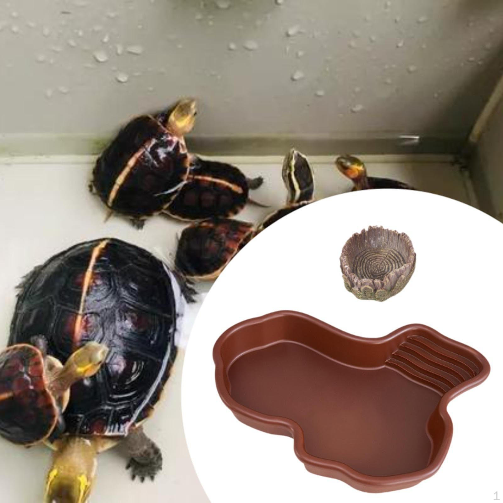 

Экзотическая миска с водой для рептилий для амфибий и рептилий No drainage