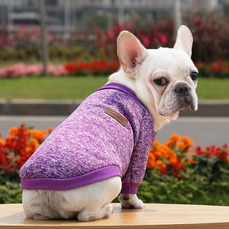 New Two-legged Multi-color Dog Clothing, Puppy Thin Velvet Sweater, Dogs And Cats Pet Clothes For Autumn And Winter