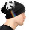 Pandalicious Rainbow Colorful Autumn Female Warm Beanies Double Used Windproof Bonnet Hats