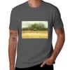 Thatched roof Barn TShirt All Weather Casual Short Sleeve