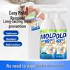 Household Mold Remover Spray - Anti-Mold Stain Cleaner for Walls