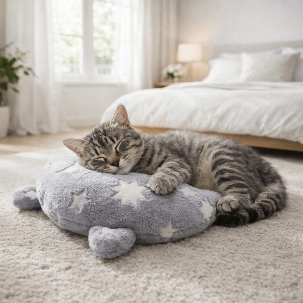 Plüschkatze Leuchtendes Kissen Mond Stern Hund Schlafmatte Cartoon Haustier Halbmondkissen Innen