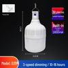 NuFeng Remote Control LED Camping Bulb