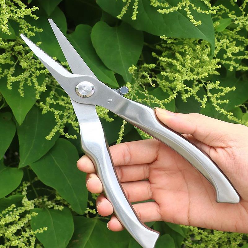 Large Silver Straight-Head All-Steel Pruning Shears – Ideal for Fruit Trees, Bonsai & Flowers | Heavy-Duty Garden Scissors