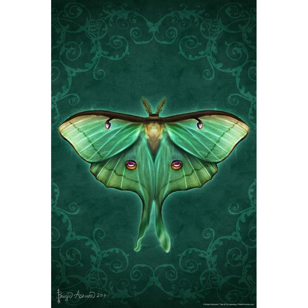 Damask Moon Moth Tapestry by Brigid Ashwood 75x100