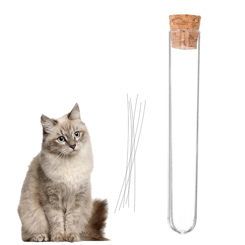 

Cat Whisker Jar Mini Glass Vase For Whiskers Cat Whisker Holder Elegant Memorial Gift For Pet Lovers A2