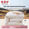 Hengyuanxiang Class A Antibacterial New Zealand Wool Duvet