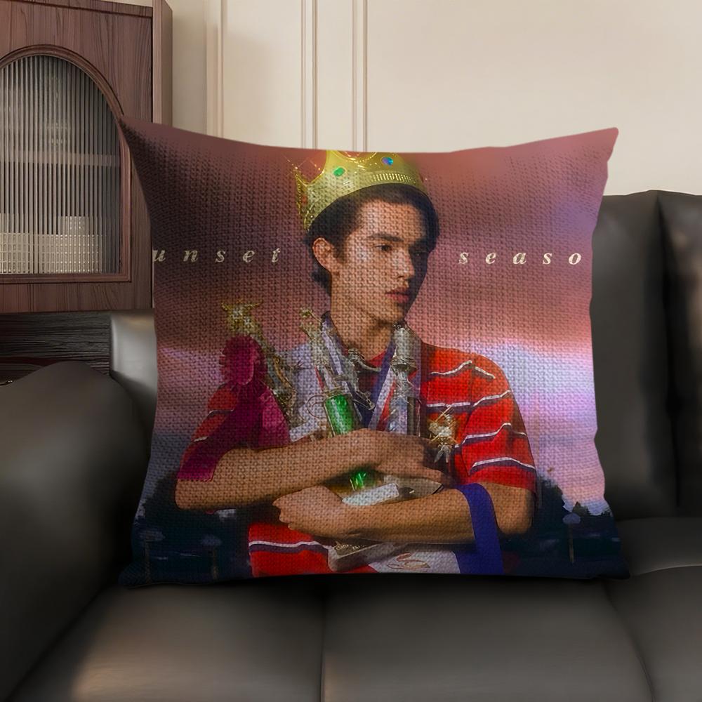 Singer CConan GGray Cushion Cover Natural Linen Organic Fabric DoubleSided Printing Sofa Home Decor Gift Pillow Case